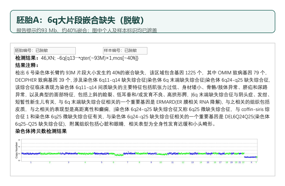 不可逆脱敏后的胚胎A拷贝数结果，提示6q约93 Mb片段性嵌合缺失