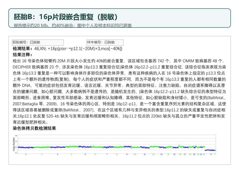 不可逆脱敏后的胚胎B拷贝数结果，提示16p约20 Mb片段性嵌合重复